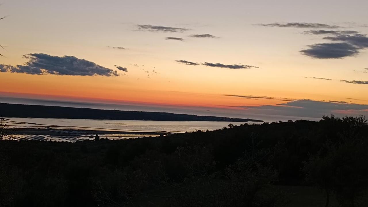 Apartmaji Hrvatin V Kortah Izola Kültér fotó