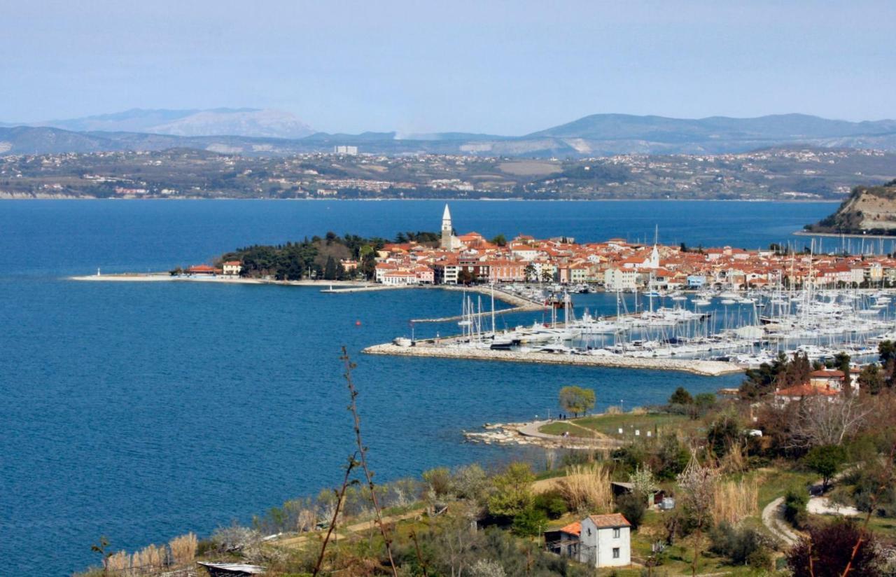 Apartmaji Hrvatin V Kortah Izola Kültér fotó